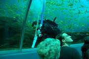 GA Aquarium 0004_1